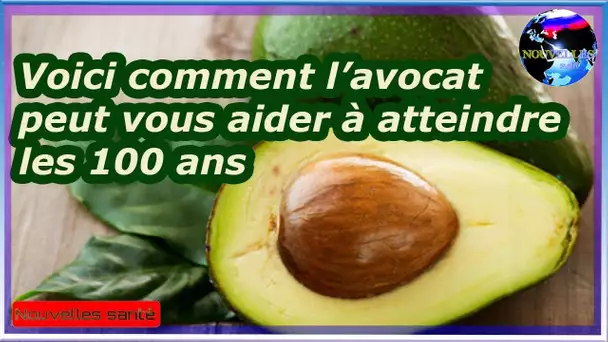 Voici comment l’avocat peut vous aider à atteindre les 100 ans|Nouvelles24h