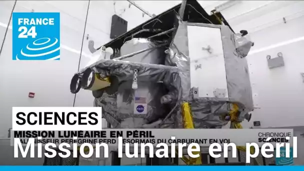Mission lunaire en péril : l'alunisseur Peregrine perd désormais du carburant en vol • FRANCE 24
