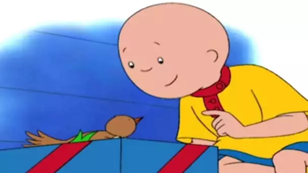 Caillou en Français | Caillou et le Petit Oiseau | dessin animé | NOUVEL ÉPISODE HD