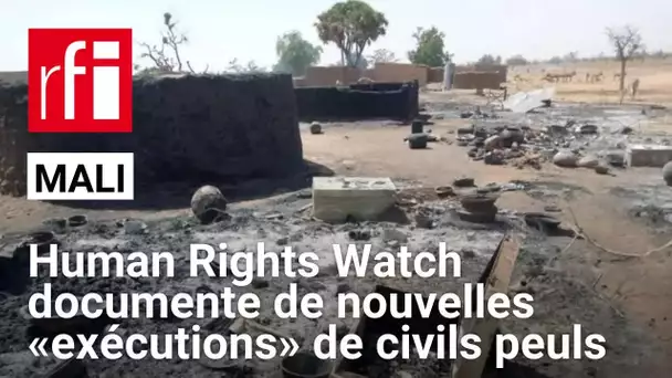 Mali: Human Rights Watch documente de nouvelles «exécutions» de civils peuls par l'armée et Wagner