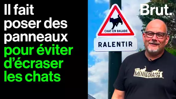 Il se bat pour sauver les chats de sa commune