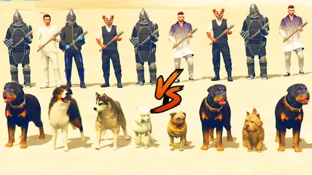 CHIENS VS PLAYERS ! (C'est trop marrant)