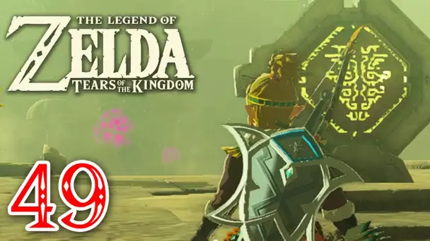 Zelda Tears of the Kingdom #49 | Le temple de la foudre