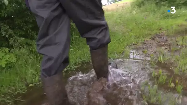 Agriculture : les pluies retardent les récoltes de foin et les moissons dans le Jura
