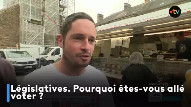 Législatives. Pourquoi êtes-vous allez voter ?