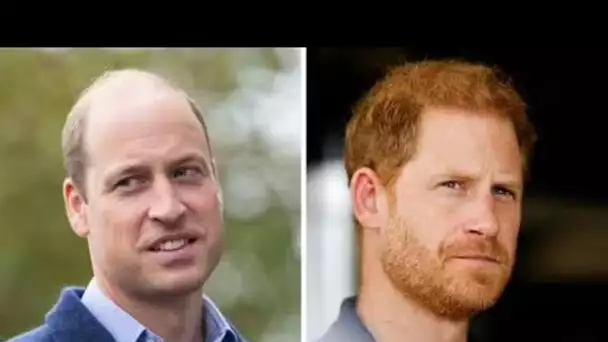 Le prince William bat le prince Harry dans une bataille majeure après des bombes de rechange