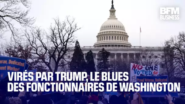Virés par Trump, le blues des fonctionnaires de Washington