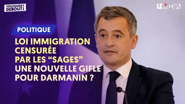 LOI IMMIGRATION CENSURÉE PAR LES "SAGES" : UNE NOUVELLE GIFLE POUR DARMANIN ?