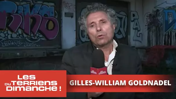 Gilles-William Goldnadel a rencontré les migrants de la Villette - Les Terriens du dimanche