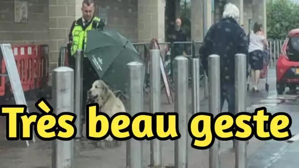 Un agent de sécurité d’un magasin reste sous la pluie pour protéger un chien de l’eau