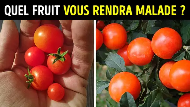 Ces Plantes Sont des Pros du Mimétisme, N’en Mangez Surtout Pas !