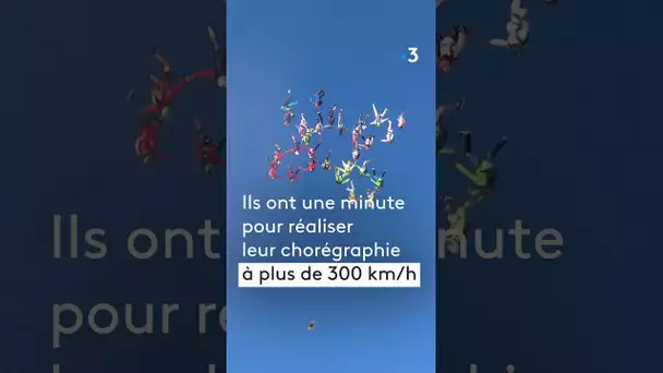 54 parachutistes battent le record de France de free fly