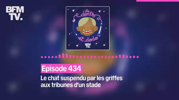 Les dents et dodo - Episode 434: le chat suspendu par les griffes aux tribunes d'un stade