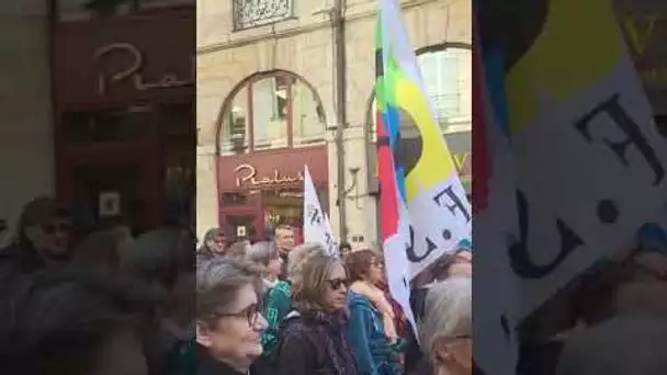 Dans le cortège contre la réforme des retraites, mardi 28 mars, à Dijon