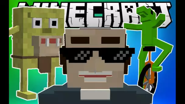 LES 5 MEILLEURS MEMES DANS MINECRAFT !