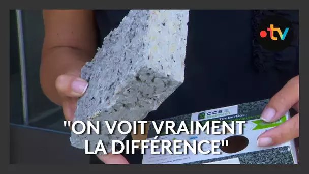 Canicule : comment ce matériau novateur améliore le confort thermique