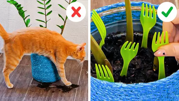 ASTUCES et BRICOLAGE utiles pour les parents de chats