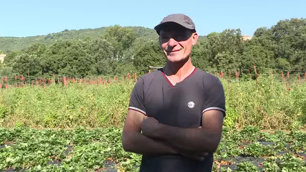 Per sti lochi in la Valle di u Prunelli, épisode 5 : Bastelicaccia