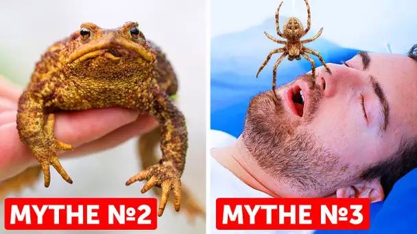 27 Mythes que nous avons tous crus vrais mais qui s’avèrent faux