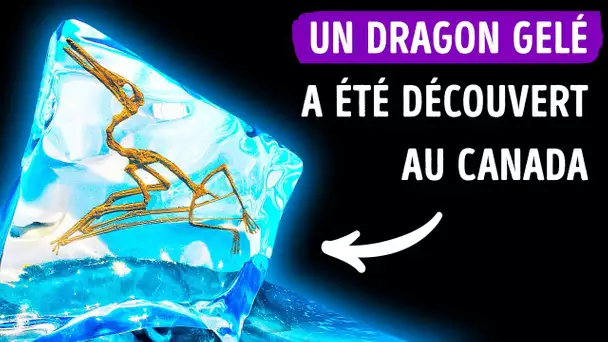 Une Espèce de “dragon gelé” a été Piégée Dans la Glace Pendant 76 Millions d’Années
