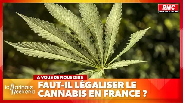 A vous de nous dire : faut-il légaliser le cannabis en France ?