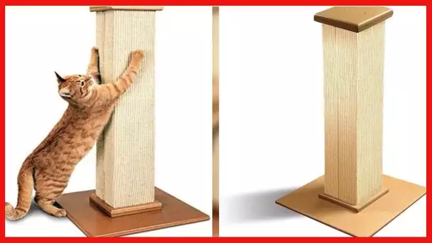 SmartCat Pioneer Pet Ultimate Scratching Post