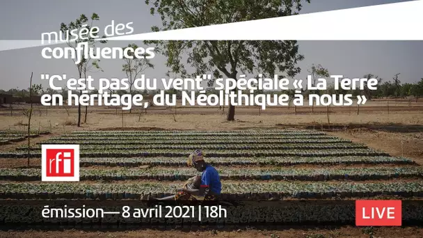 Émission | « C’est pas du vent » avec RFI spéciale « La Terre en héritage, du Néolithique à nous »