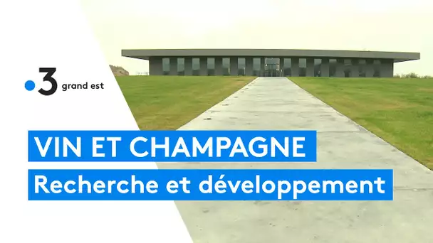 Vins et Champagnes : le Centre de Recherche et Développement du groupe Moët Hennessy