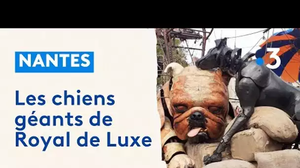 La sieste de El Xolo et Le Bull Machin, les 2 chiens géants de Royal de Luxe à Nantes