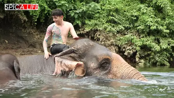 Amis des animaux sauvages : leur quotidien hors du commun