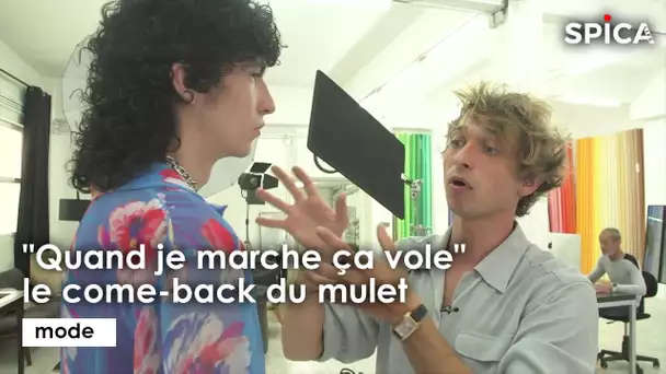 "Quand je marche ça vole" : le come-back du mulet