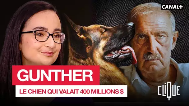 Gunther, l’histoire du chien qui valait 400 millions $ - CANAL+