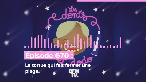 Les dents et dodo - “Épisode 670 : La tortue qui fait fermer une plage”