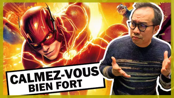 THE FLASH : "Vous n'avez rien compris au film !" (CRITIQUE)