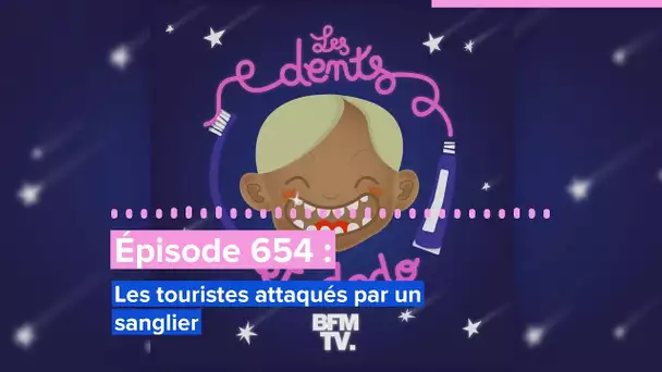 Les dents et dodo - “Épisode 654 : Les touristes attaqués par un sanglier”