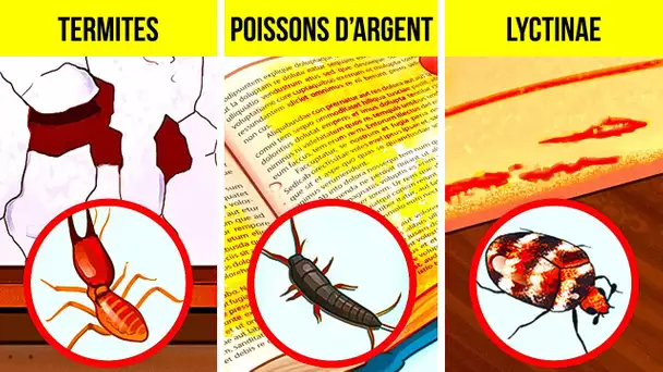 13 Signes non évidents que des nuisibles se sont invités chez toi