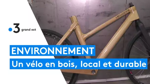 Hexagone, un vélo en bois conçu à partir des frênes des forêts de l'Aube