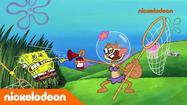 Bob l'éponge | Les méduses bulldozers | Nickelodeon France