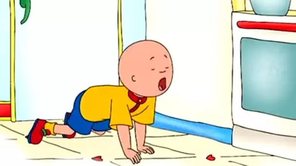 Caillou en Français - Caillou Sauvage | dessin animé | conte pour enfant