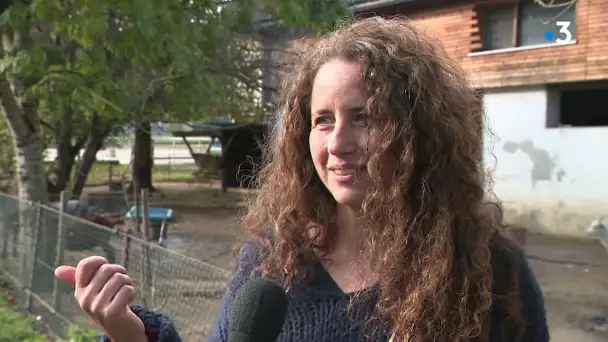 Animaux : en Suisse, l'artiste Judith Zagury fait jouer des animaux au théâtre