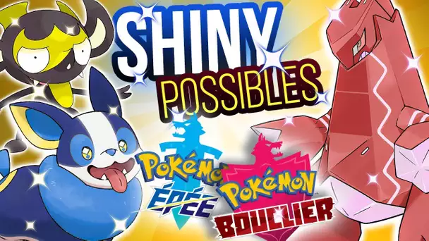 POSSIBLES SHINY✨ pour Pokémon Épée & Bouclier : Voltoutou, Charmilly, Charbi...
