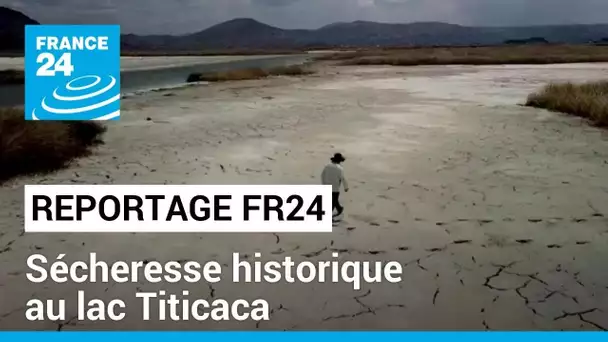 Pérou-Bolivie : le lac Titicaca subit une sécheresse historique • FRANCE 24