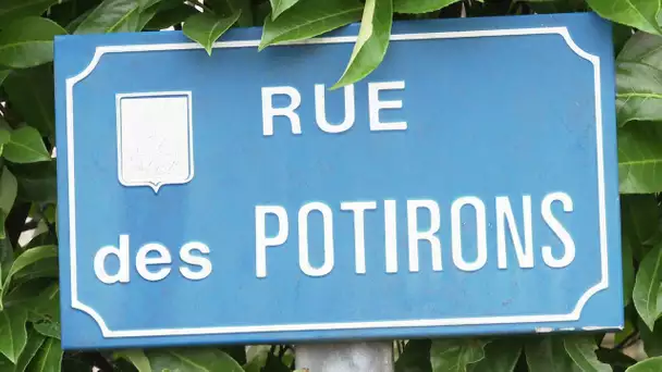 la fabrique des potirons