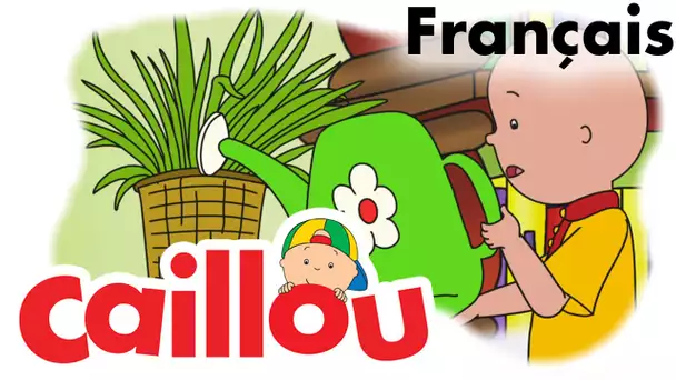 Caillou FRANÇAIS - Au service de Madame Howard (S05E19) | conte pour enfant | Caillou en Français