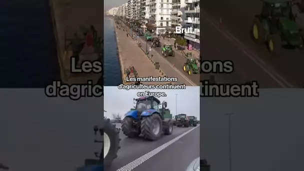 Les manifestations d'agriculteurs continuent en Europe