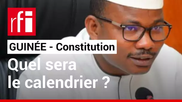 Guinée : « Quitter la démocratie conflictuelle pour une démocratie consensuelle » • RFI
