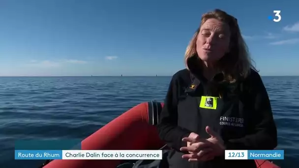 Route du Rhum : Charlie Dalin et ses concurrents