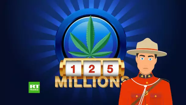 Tiroir Cash - Quel bilan pour la légalisation du cannabis au Canada ?