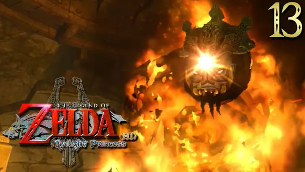 Zelda Twilight Princess HD #13 : MAGMAUDIT, LE CHEF GORON !