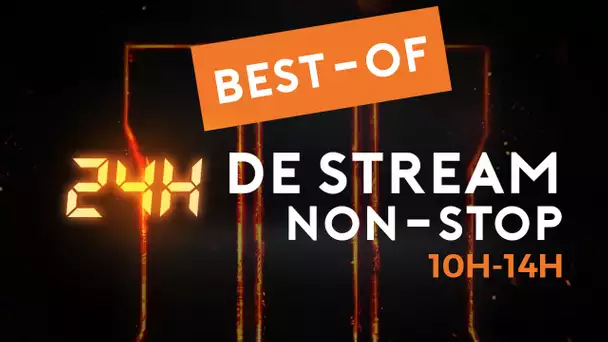 BestOf du Stream 24h NON-STOP sur BO3 (10h à 14h)